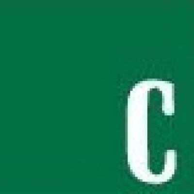 Logo for Cornerstone Research
