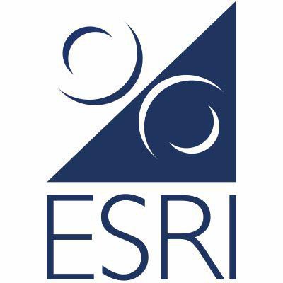 Logo for The Economic and Social Research Institute